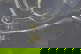 item-208830716=9