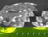 item-208830729=4