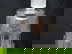 item-208830731=17