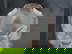 item-208830731=20