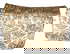 item-210190866=11