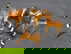 item-210190893=6