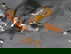 item-210190893=7