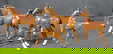 item-210190893=9