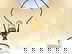 item-210191001=7