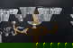 item-210191005=5