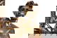 item-210191010=13