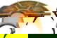 item-210191017=5
