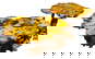 item-210191034=11