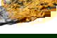 item-210191034=13