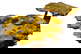 item-210191034=3