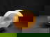 item-210191066=9