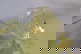 item-210191140=10