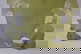 item-210191140=6