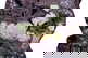 item-210191144=9