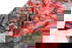 item-210191147=12