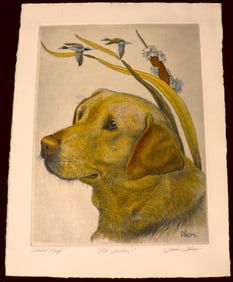 Unframed Artist Proof on paper signed John Akers and Titled Ole Yellow