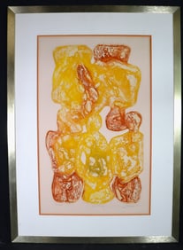 Framed Colored Etching Color Proof Print Signed Amy Goldman and dated 74