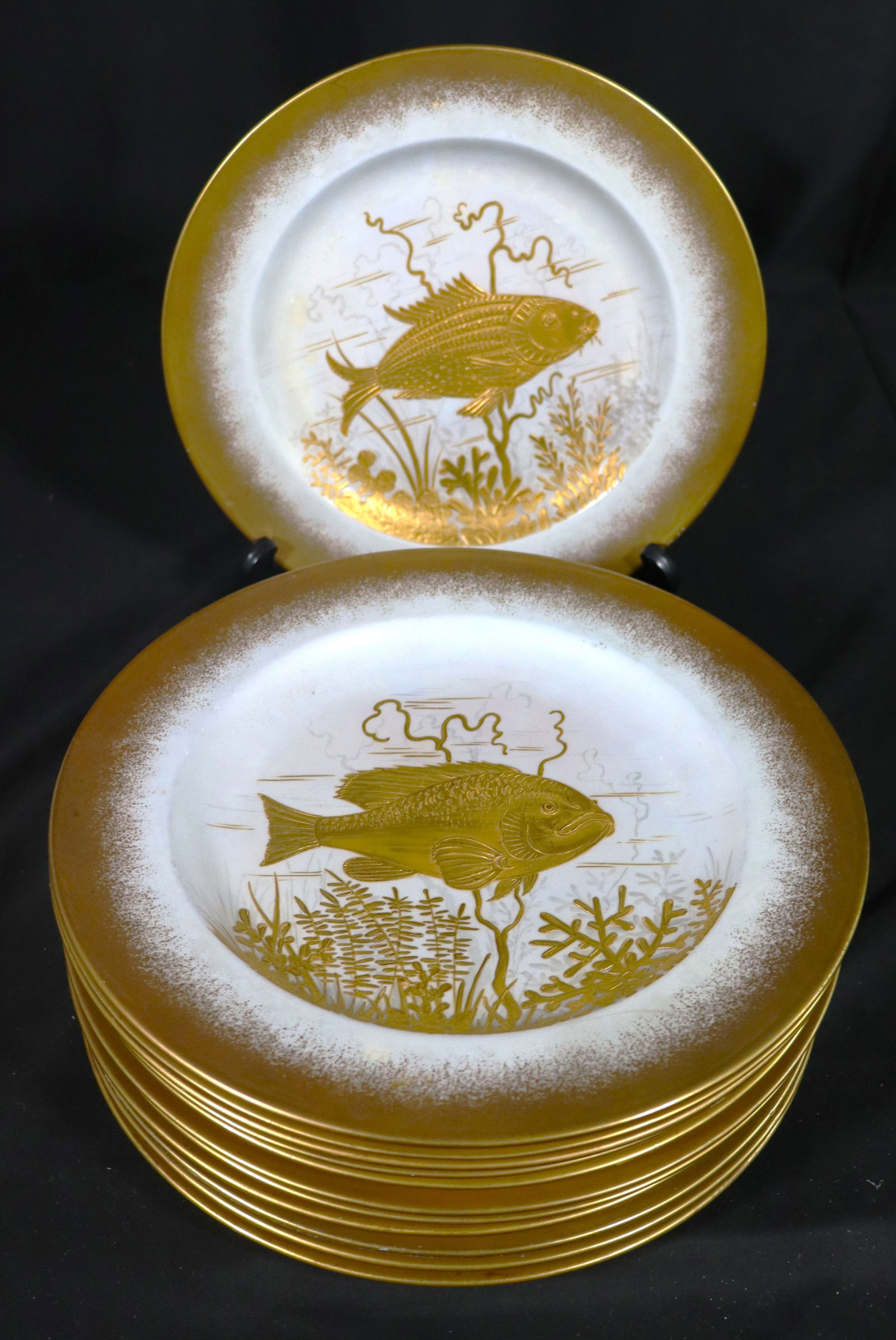 Twelve Wedgwood Dinner Plates: Twelve Wedgwood Dinner Plates DIMENSIONS: Height 0.95 inch / 2,4 cm Diameter: 10.25 inch / 26 cm &