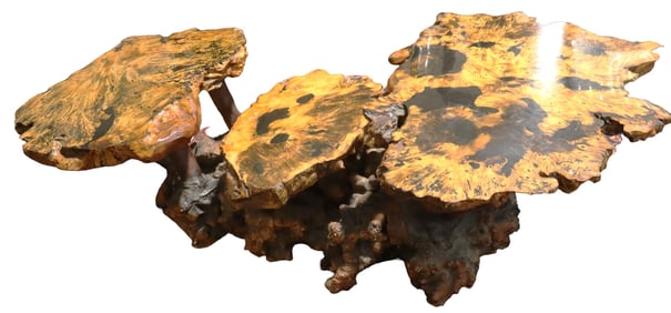 Live Edge Buckeye Burlwood Coffee Table / Cocktail Table from California