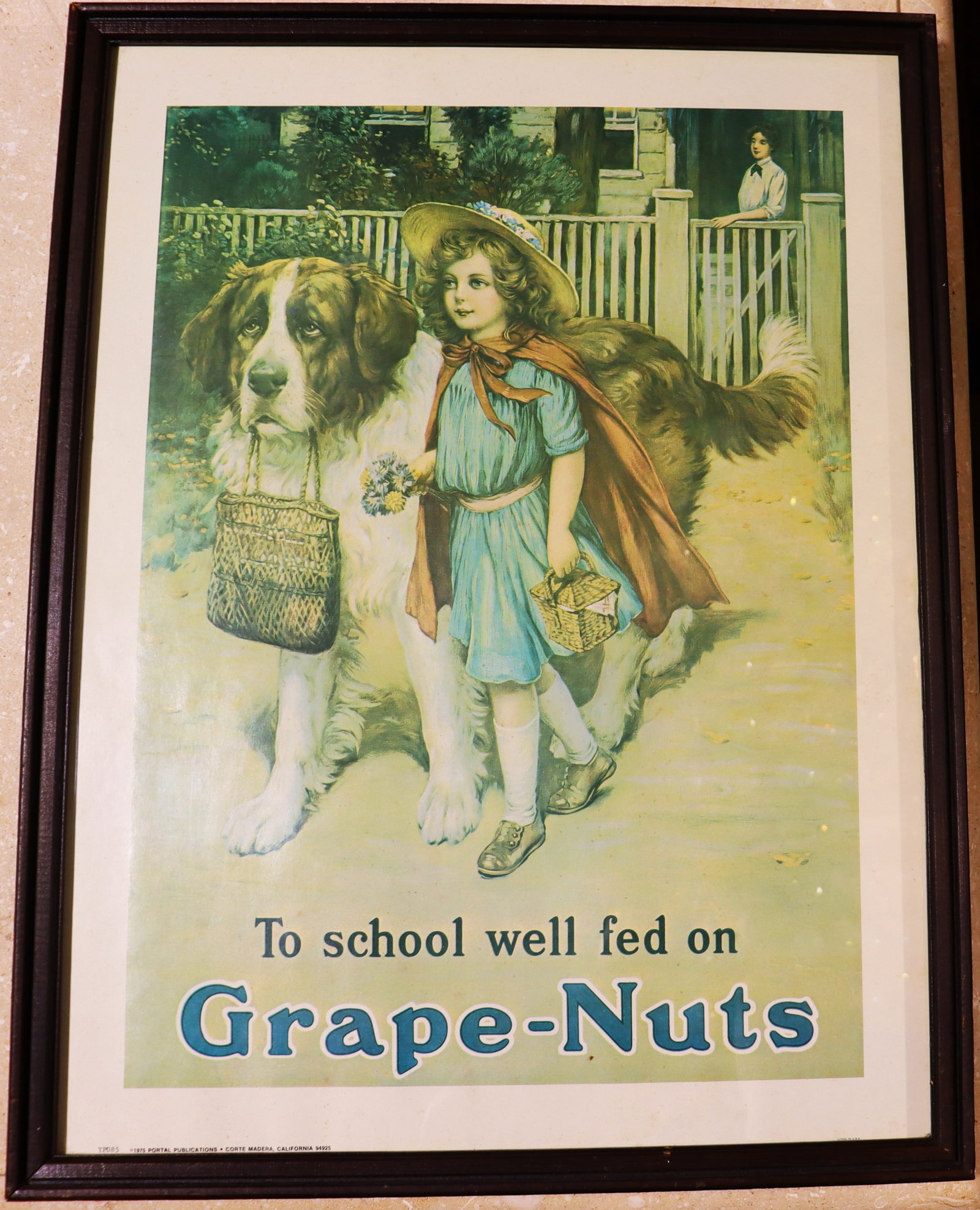 Framed vintage Grape-Nuts advertising, featuring a girl with her St. Bernard dog.: Framed vintage Grape-Nuts advertising, featuring a girl with her St. Bernard dog.The image depicts a young girl ready for school, accompanied by a large St. Bernard dog carrying her school