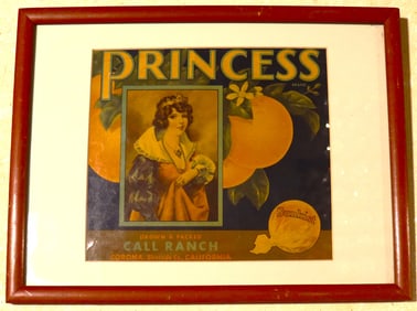 Framed Vintage Advertising of Princess Brand Crate Label