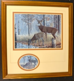 Framed lithograph on paper signed John Akers and numbered 584 /3400