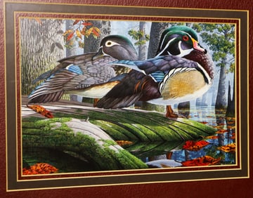 Framed color lithograph on paper signed John Akers, Titled Wood Ducks
