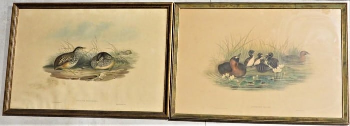 Pair of framed print of birds
