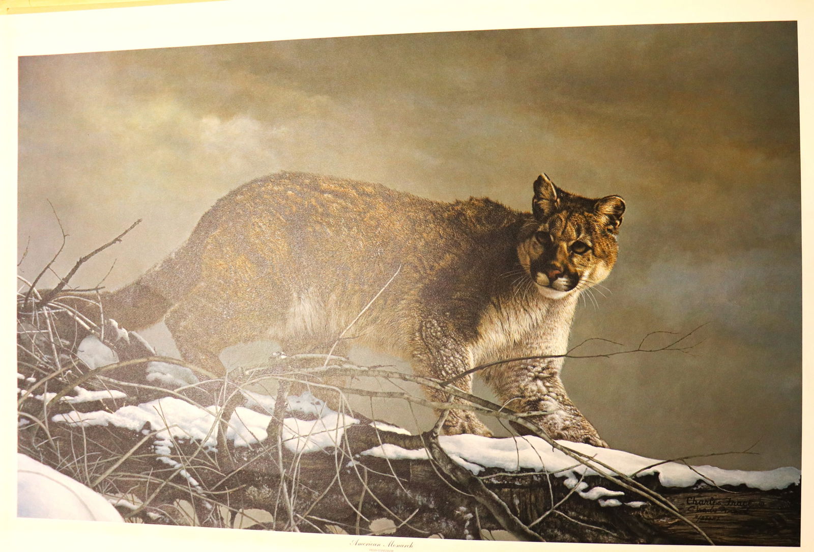 Unframed limited edition print titled "American Monarch" by Charles Fracé.: Unframed limited edition prints titled "American Monarch" by Charles Fracé.dated 1984 and numbered 4 / 200 DIMENSIONS without frame: Height 26 inch / 66 cm 