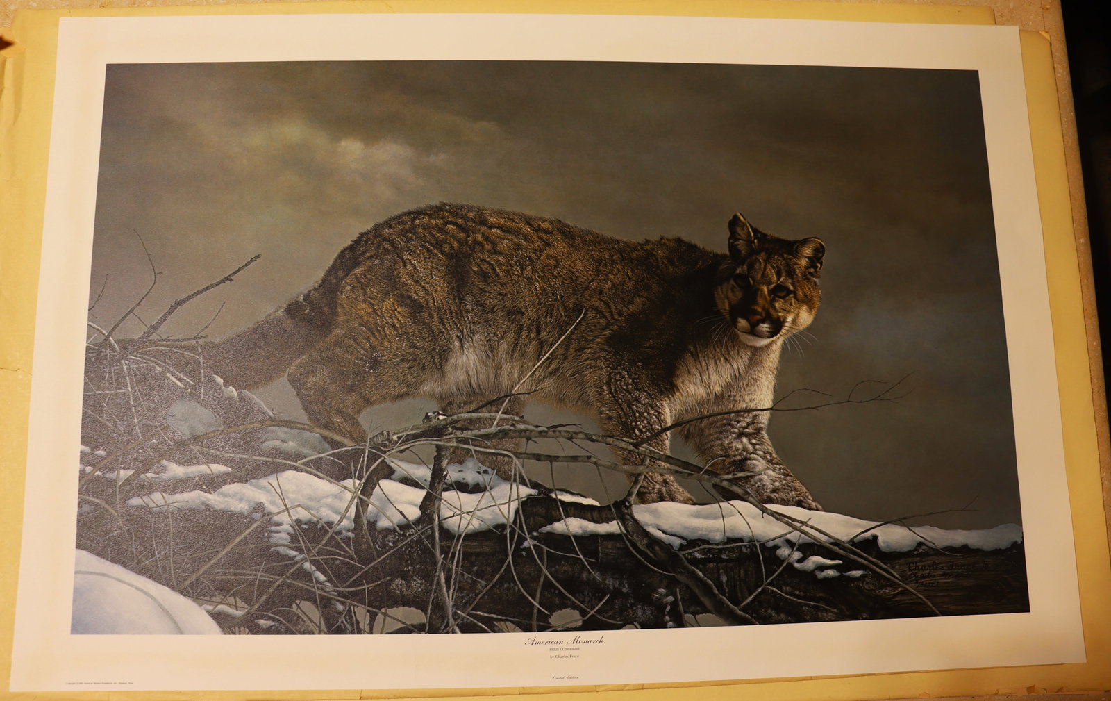 Unframed limited edition prints titled "American Monarch" by Charles Fracé.: Unframed limited edition prints titled "American Monarch" by Charles Fracé.dated 1984 and numbered 5 / 200 DIMENSIONS without frame: Height 26 inch / 66 cm 