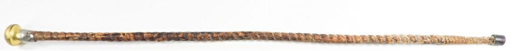 Blackjack cane formerly varnished.: Blackjack cane formerly varnished.Depending on how flexible they are, different kinds of canes may be fashioned for a variety of purposes, such as tools, walking sticks, crutches, weapons, and in corp