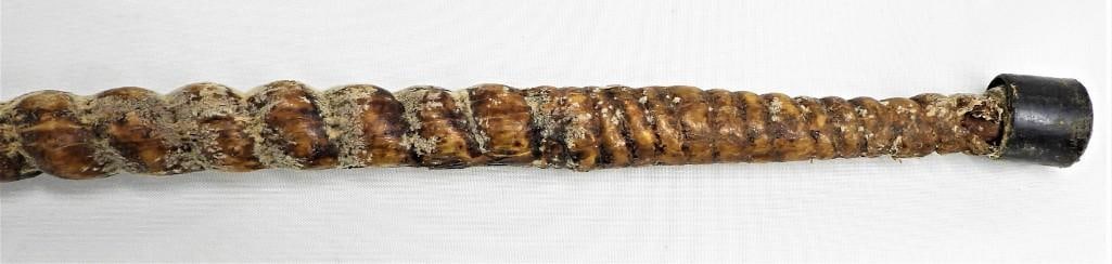 Blackjack cane formerly varnished. - 5