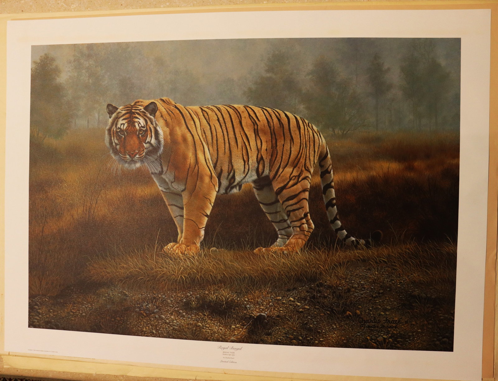 Unframed limited edition print or collector plate featuring the artwork "Royal Bengal" by wildlife: Unframed limited editions print or collector plate featuring the artwork "Royal Bengal" by wildlife artist Charles Fracé. dated 1985 and numbered 100 DIMENSIONS without frame: Height 