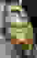 item-89482923=2
