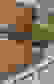 item-89482923=4