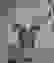 item-89516068=2