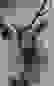 item-89516068=4