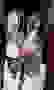 item-95521727=4