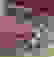 item-96497685=4