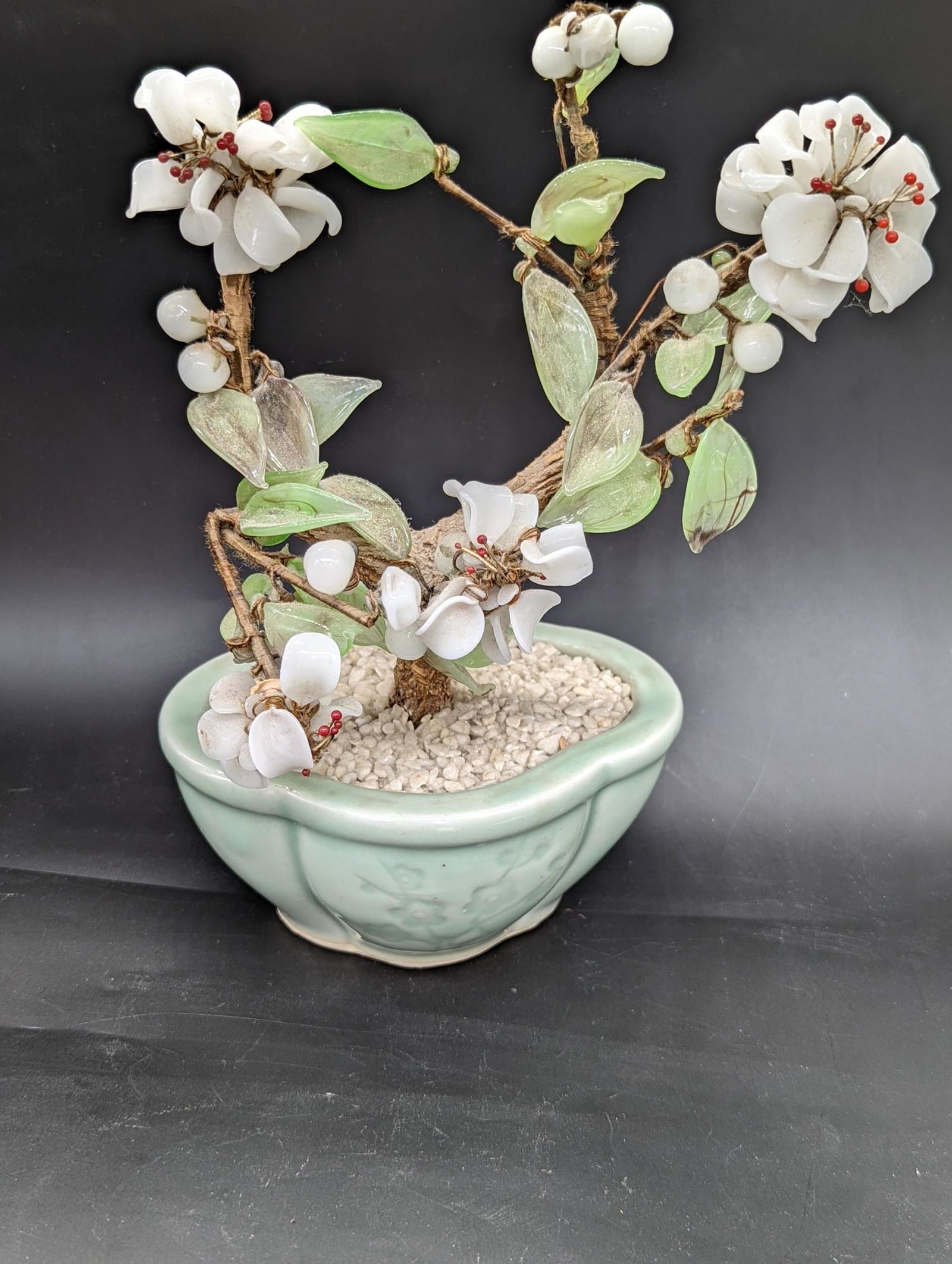 A jade and coral plant in celadon pot: A jade and coral plant in celadon pot