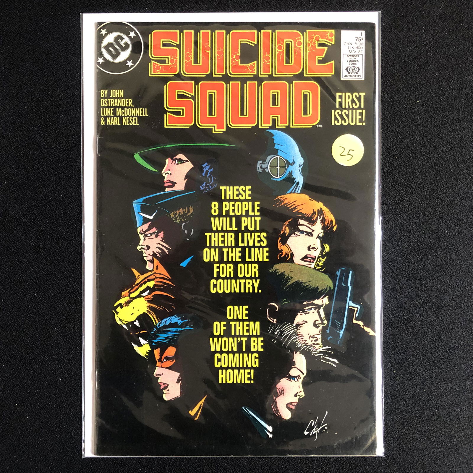 SUICIDE SQUAD #1 (DC COMICS) (1 of 1)