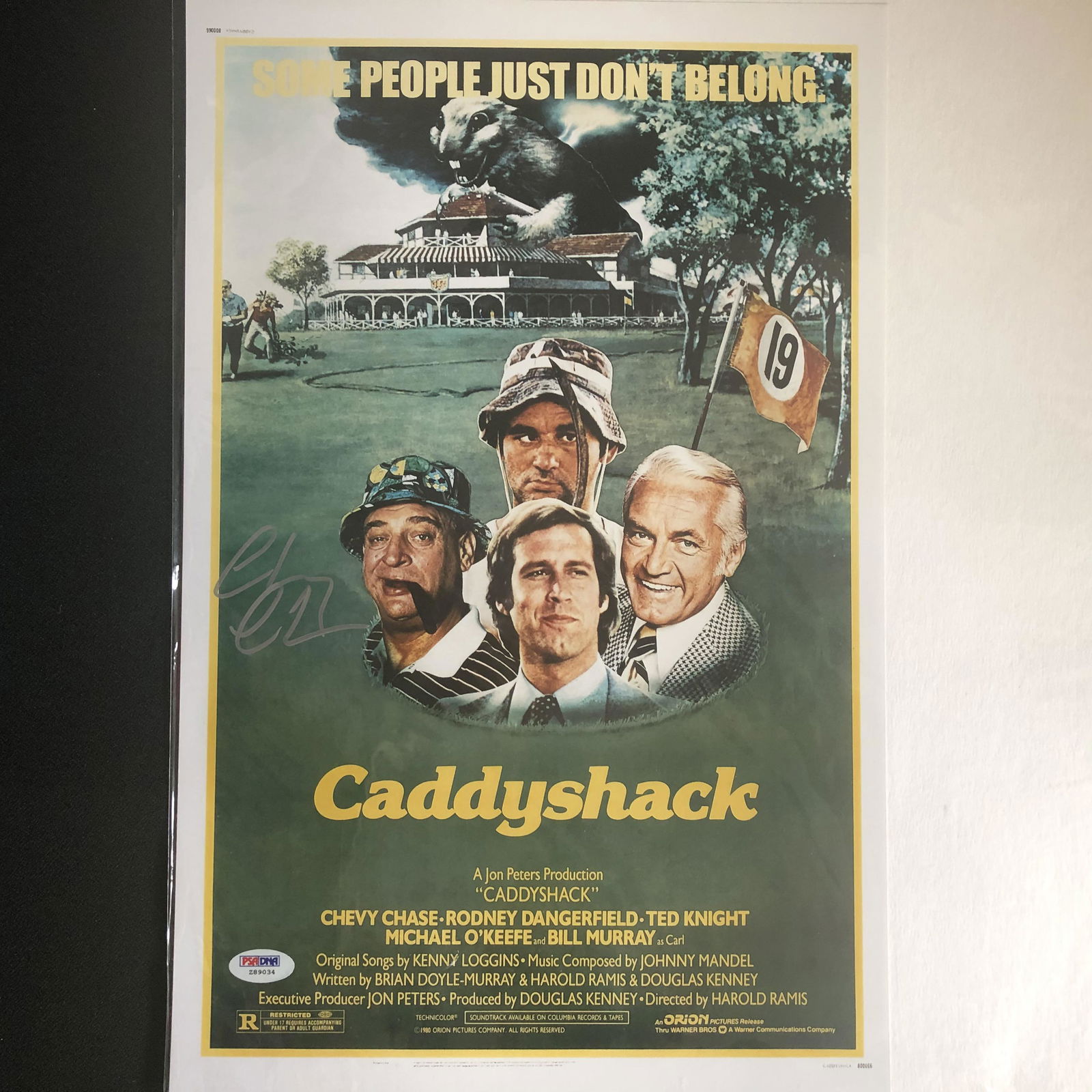 CHEVY CHASE SIGNED CADDY SHACK 11 X 18 MOVIE POSTER (1 of 4)