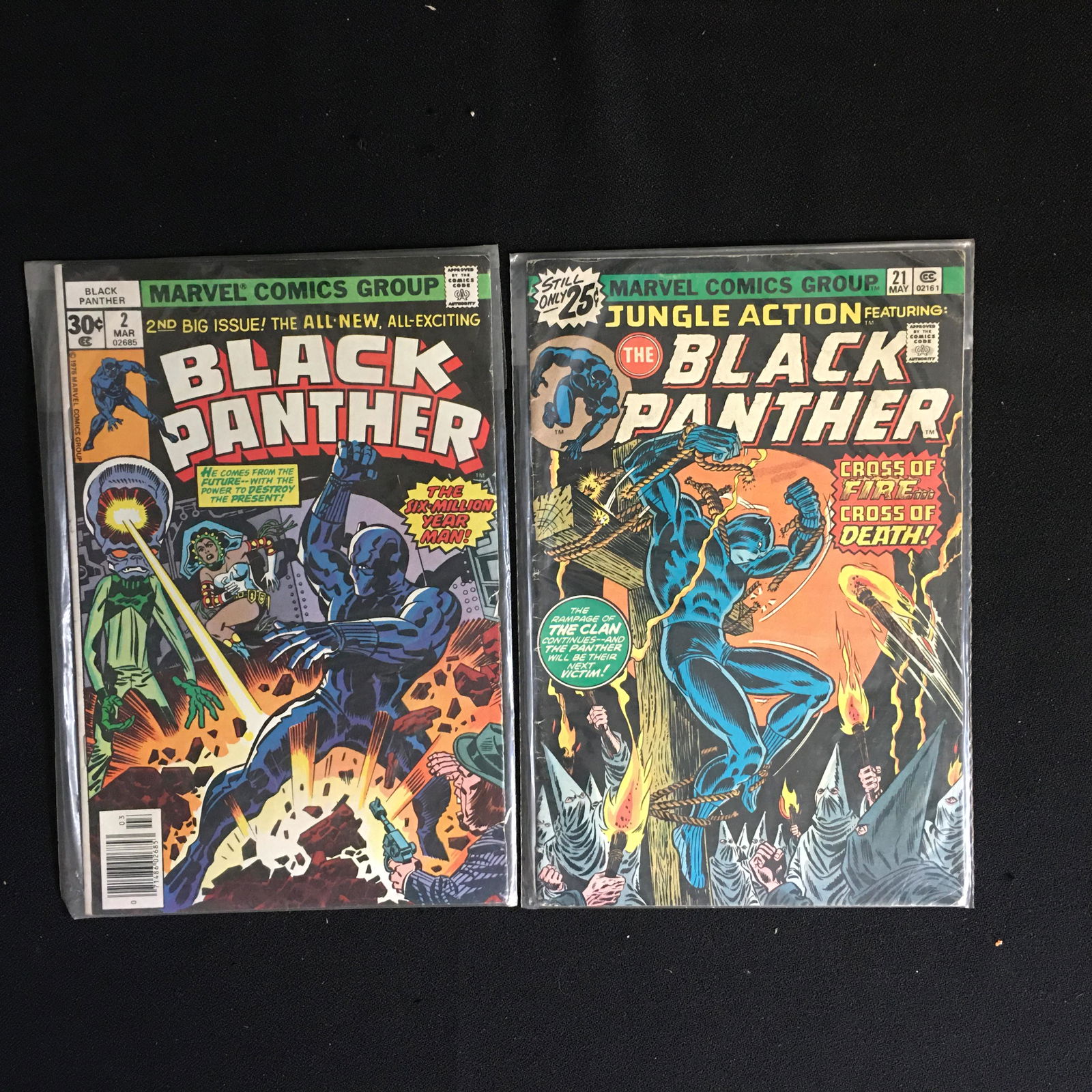 BLACK PANTHER NO.2 NO.21 BRONE AGE COMIC BOOK LOT (1 of 1)