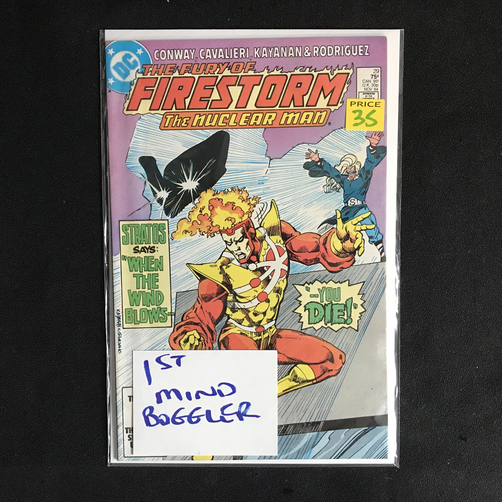FIRESTORM #29 (DC COMICS) (1 of 1)