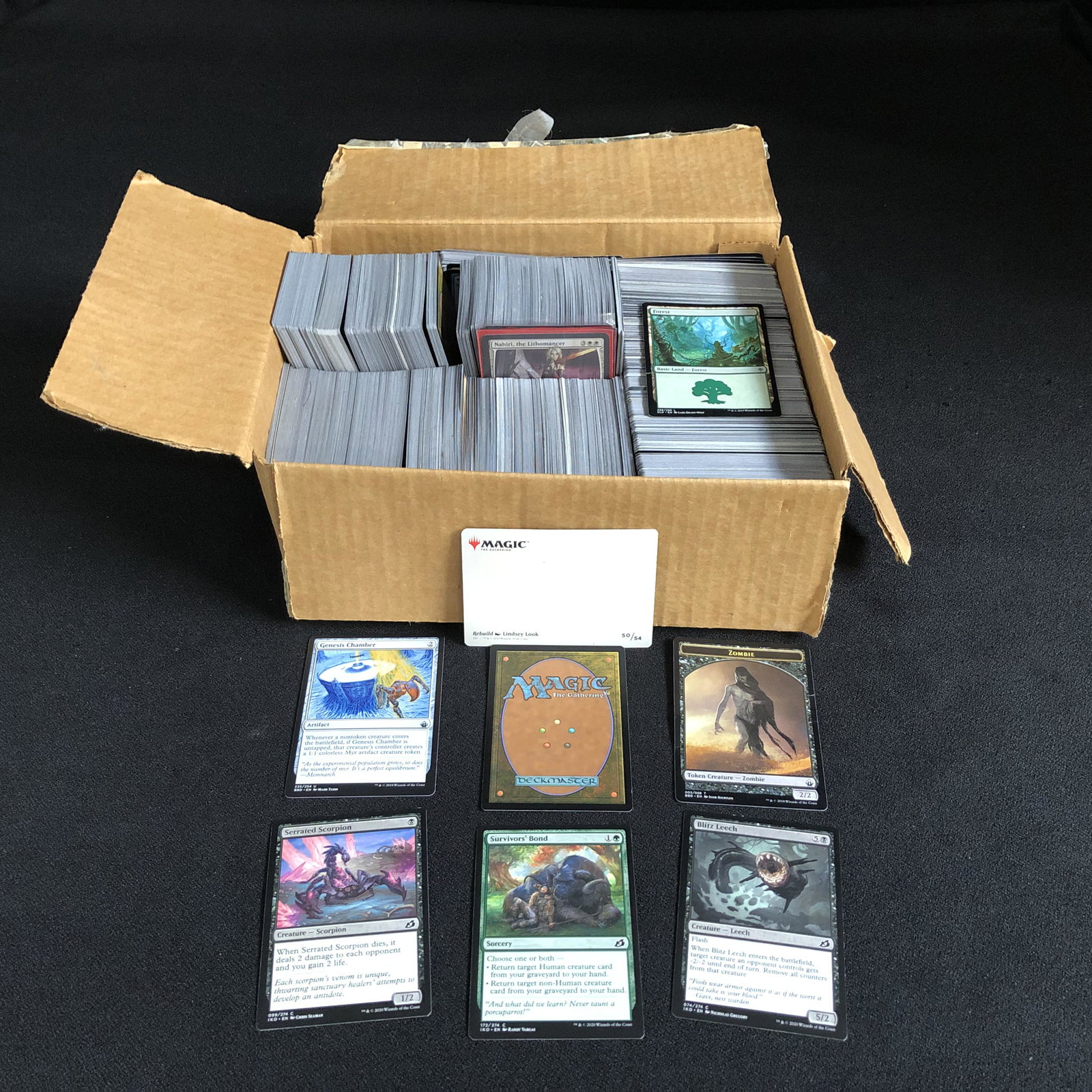 MAGIC THE GATHERING CARD LOT: MAGIC THE GATHERING CARD LOT