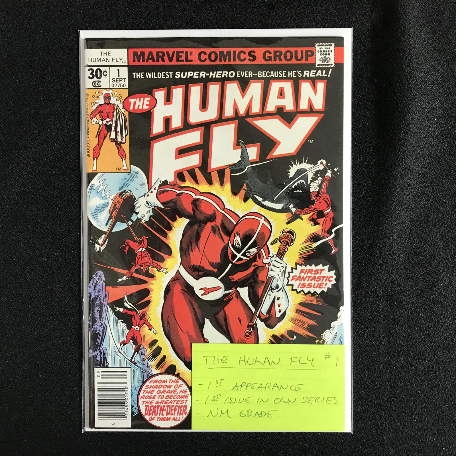 The HUMAN FLY 1 (MARVEL COMICS) (1 of 1)