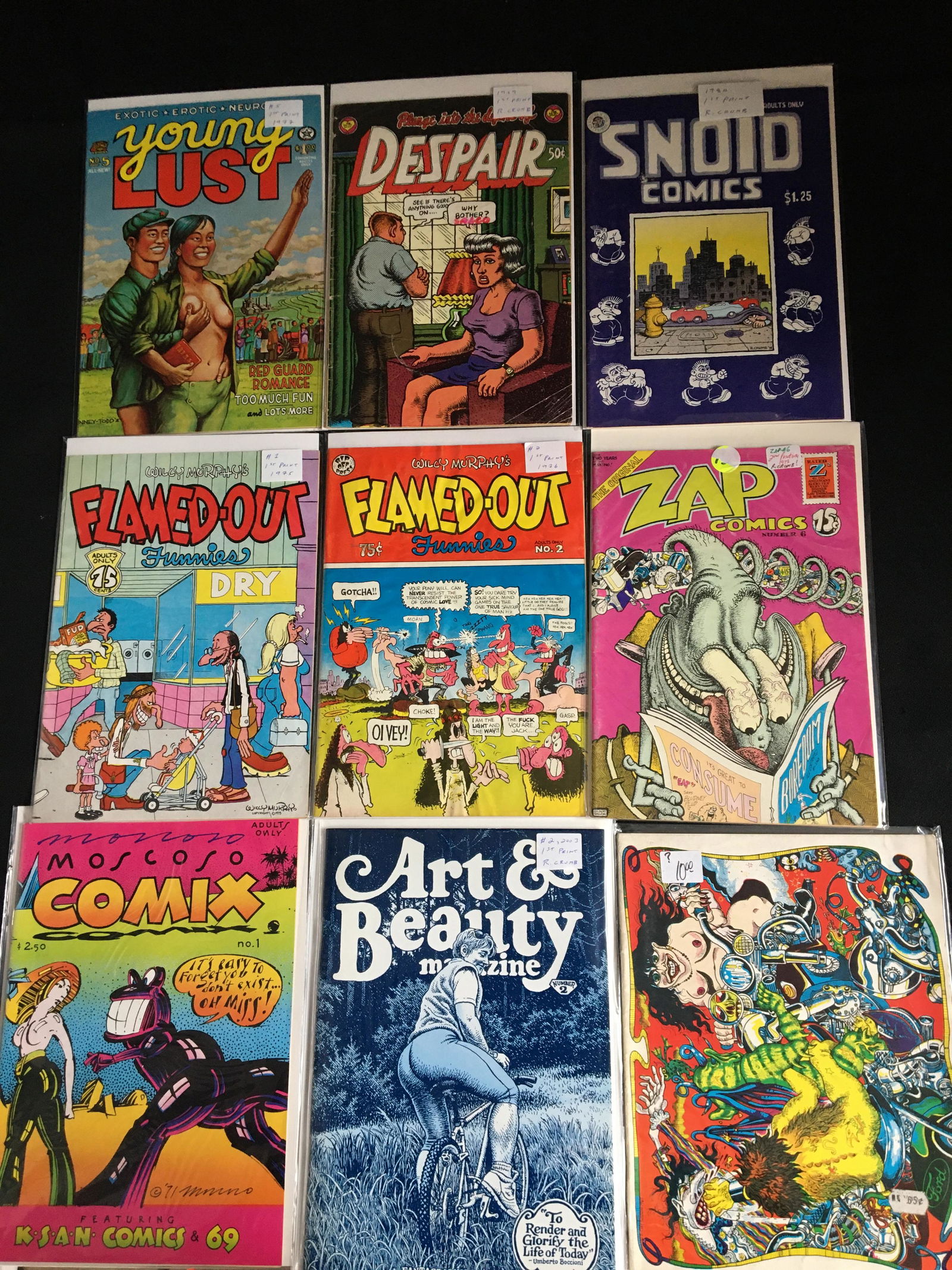 COMIC BOOK LOT (YOUNG LUST, FLAMED-OUT...) (1 of 1)