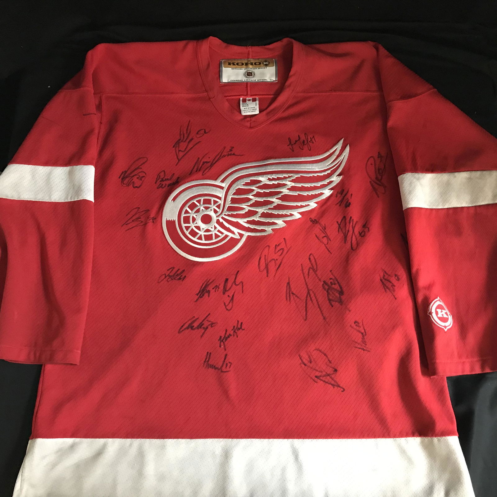 2018-19 DETROIT RED WINGS TEAM SIGNED JERSEY w/ JENSEN, (1 of 3)