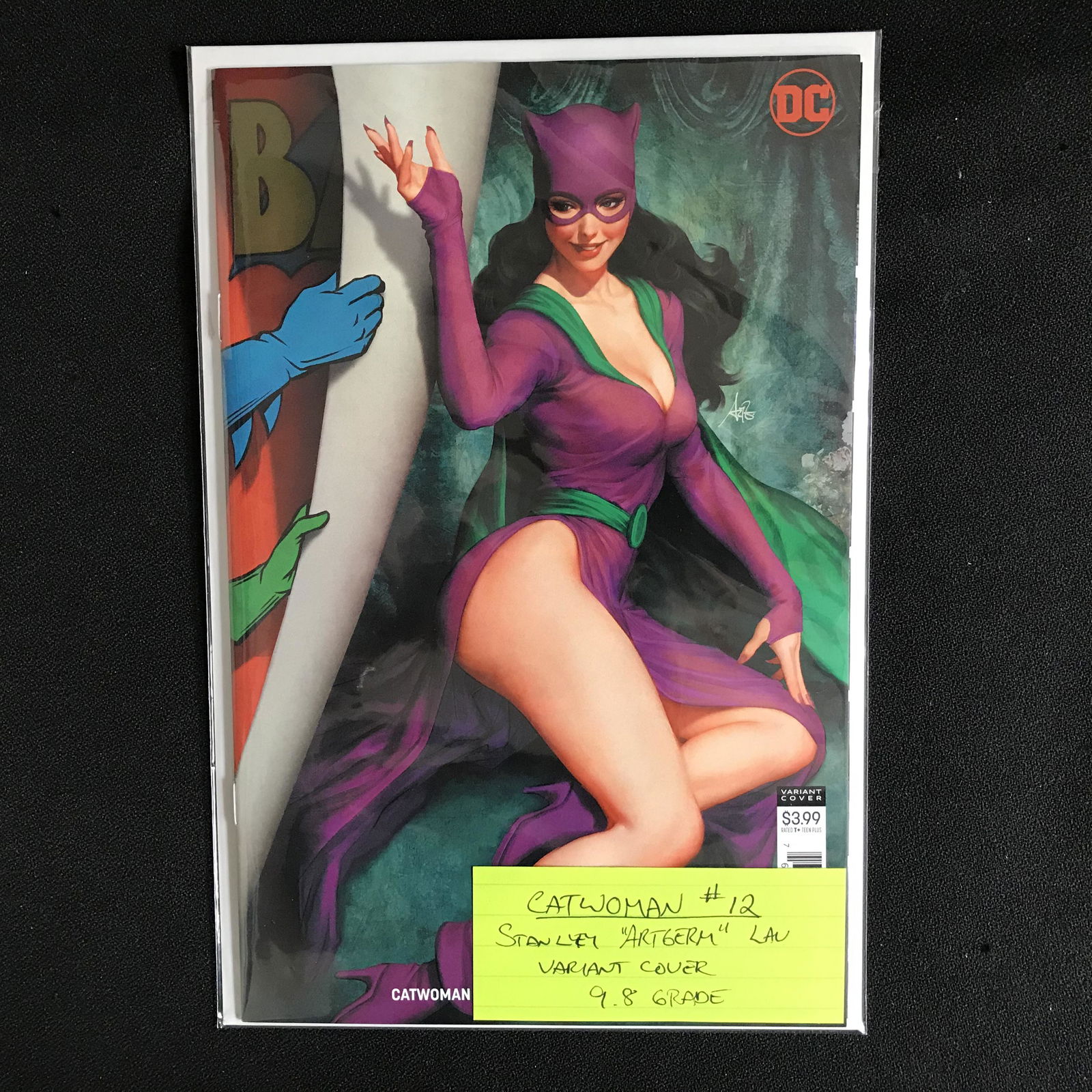 CATWOMAN #12 (DC COMICS) Variant Cover (1 of 1)